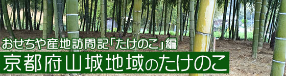 おせちや産地訪問記「たけのこ」編・京都府山城地域のたけのこ