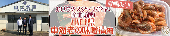おせちやスタッフが行く産地訪問！～山口県・車海老の味噌漬編 ～