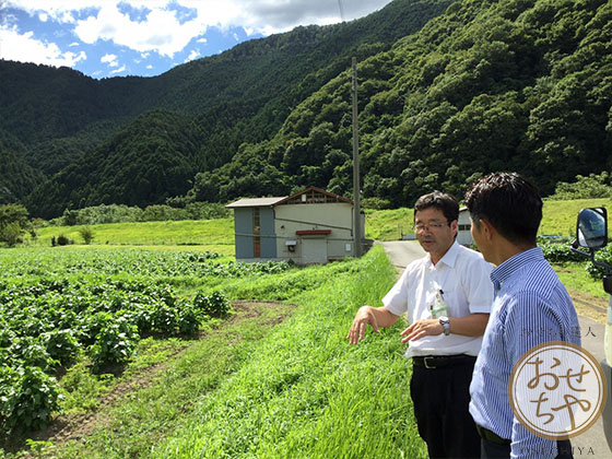 おせちやスタッフが行く産地訪問！兵庫県「黒豆」編_原料産地の優位性