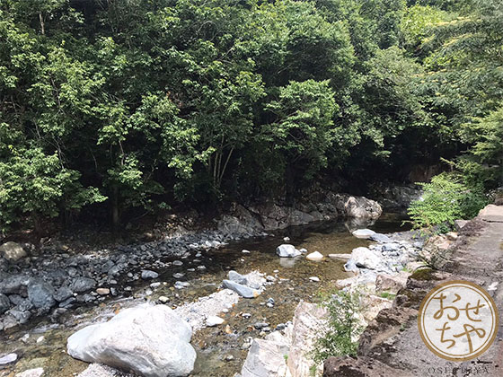 おせちやスタッフが行く産地訪問！兵庫県「黒豆」編_揖保川