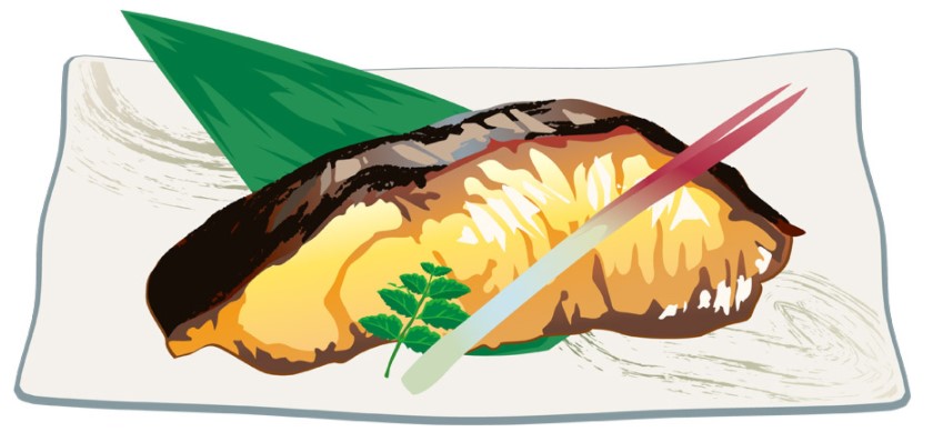 ぶりの照り焼き　イラスト